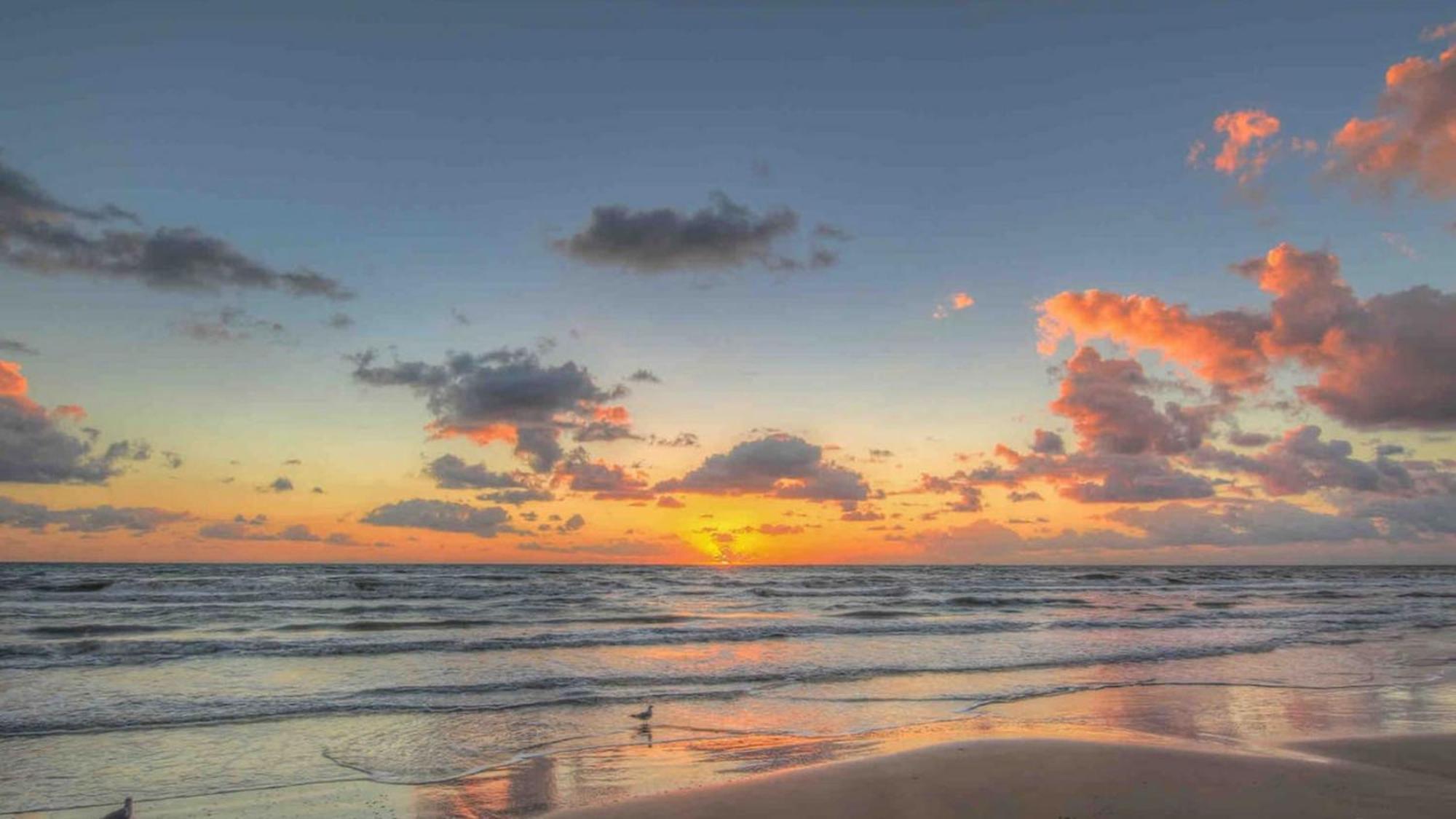 Sleeps 4, Value Retreat - Free Garage Pet Friendly Lägenhet Corpus Christi Exteriör bild